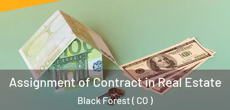  Assignment of Contract in Real Estate Black Forest ( CO )