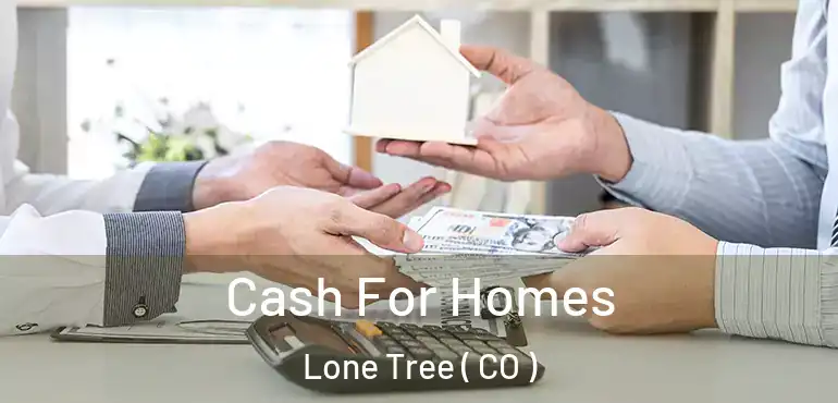  Cash For Homes Lone Tree ( CO )
