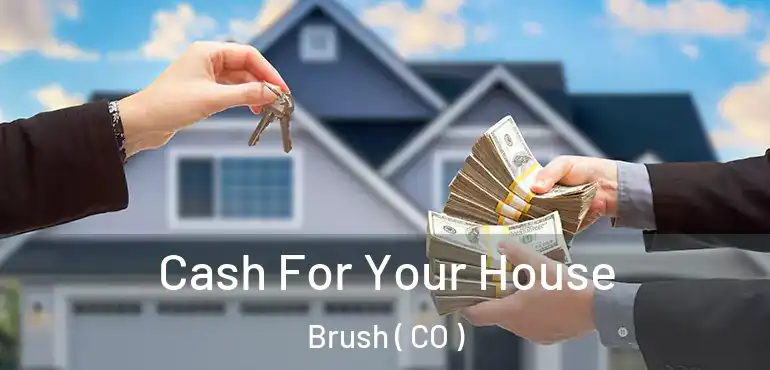 Cash For Your House Brush ( CO )
