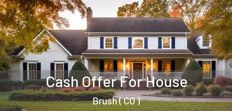  Cash Offer For House Brush ( CO )