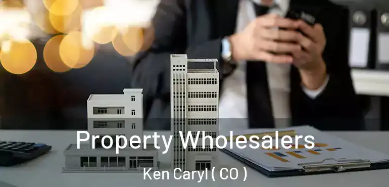  Property Wholesalers Ken Caryl ( CO )