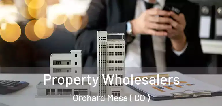  Property Wholesalers Orchard Mesa ( CO )