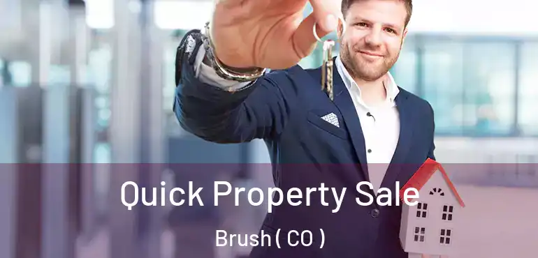  Quick Property Sale Brush ( CO )