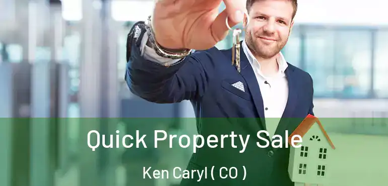  Quick Property Sale Ken Caryl ( CO )