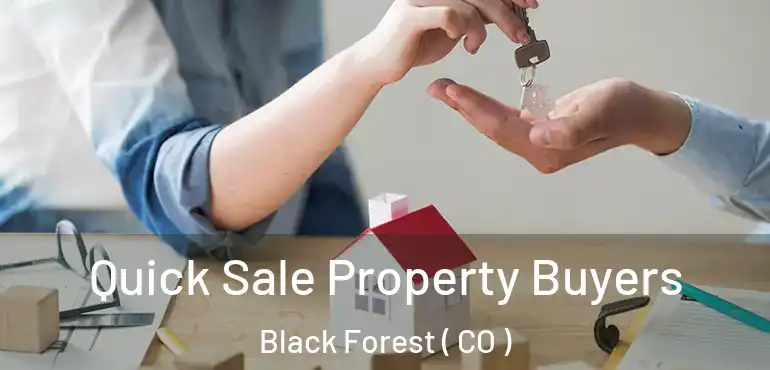  Quick Sale Property Buyers Black Forest ( CO )