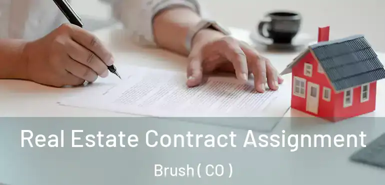  Real Estate Contract Assignment Brush ( CO )