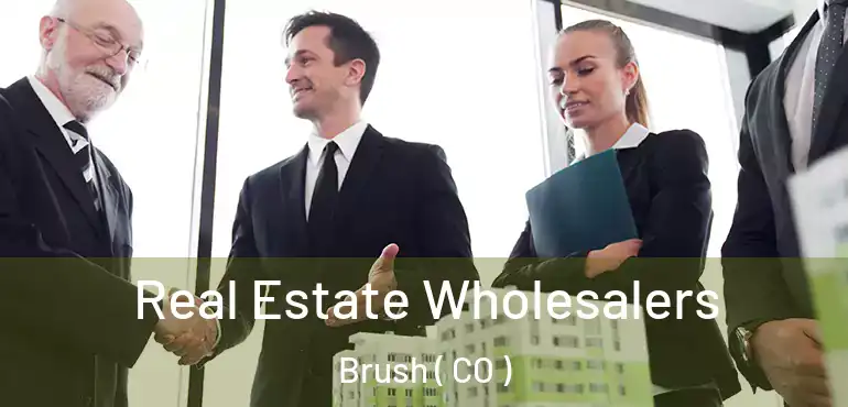  Real Estate Wholesalers Brush ( CO )