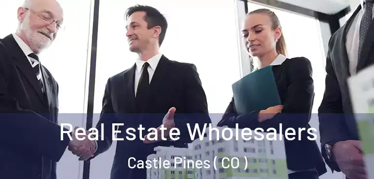  Real Estate Wholesalers Castle Pines ( CO )