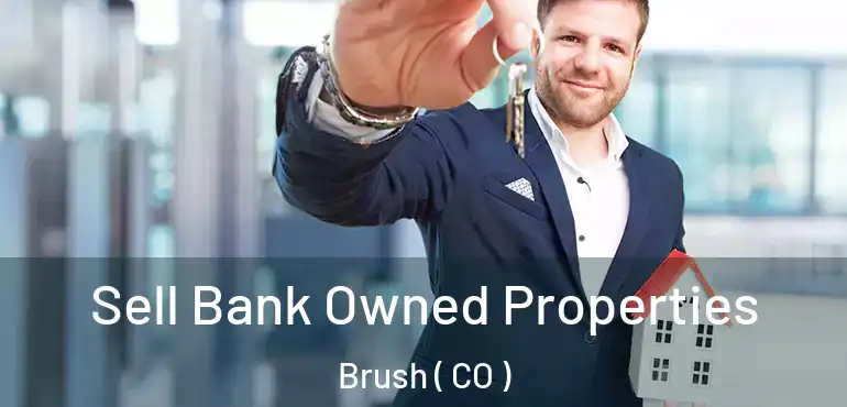  Sell Bank Owned Properties Brush ( CO )