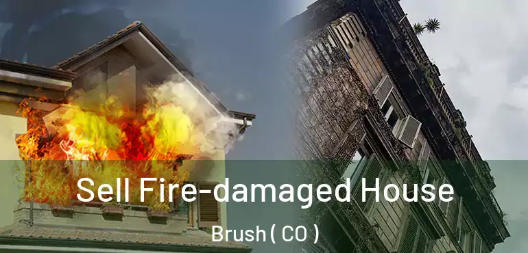  Sell Fire-damaged House Brush ( CO )