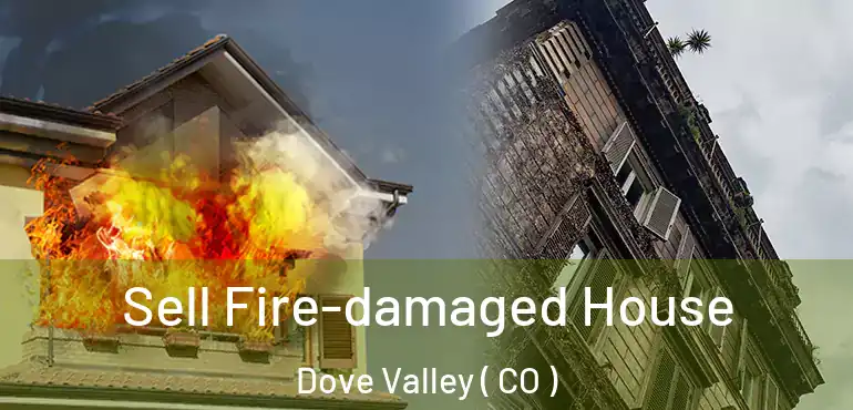  Sell Fire-damaged House Dove Valley ( CO )
