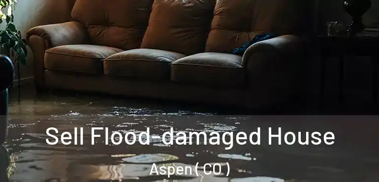  Sell Flood-damaged House Aspen ( CO )