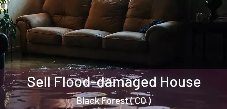  Sell Flood-damaged House Black Forest ( CO )