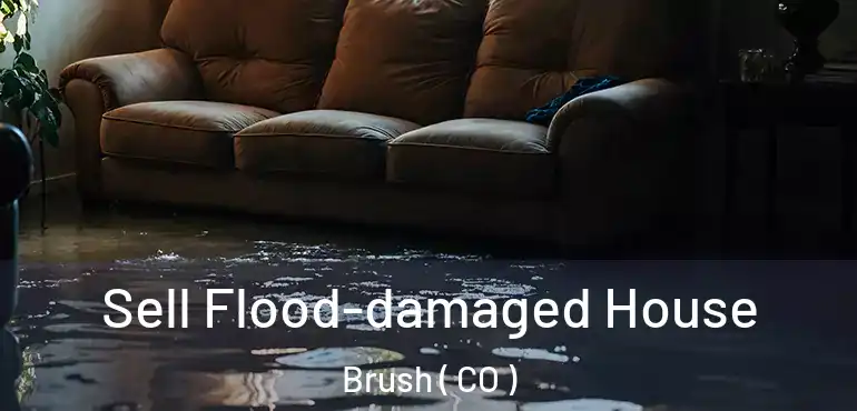  Sell Flood-damaged House Brush ( CO )