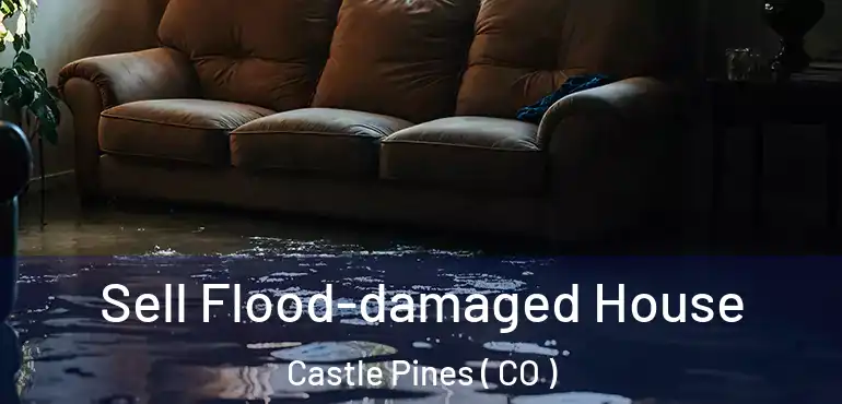  Sell Flood-damaged House Castle Pines ( CO )