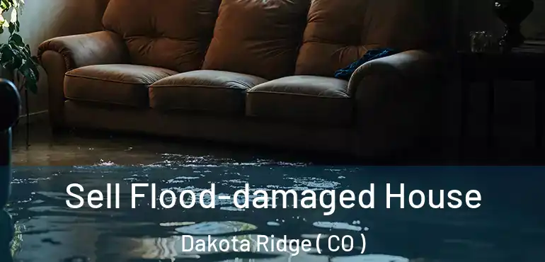  Sell Flood-damaged House Dakota Ridge ( CO )