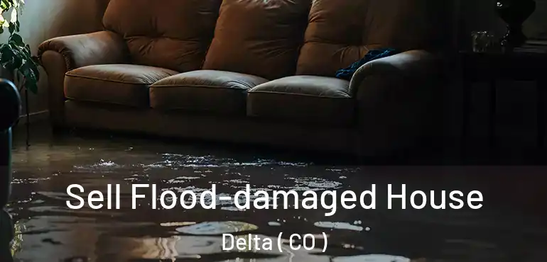  Sell Flood-damaged House Delta ( CO )