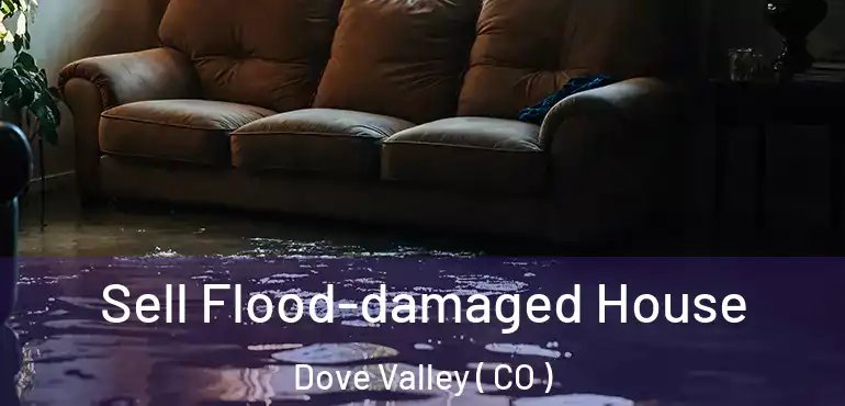 Sell Flood-damaged House Dove Valley ( CO )