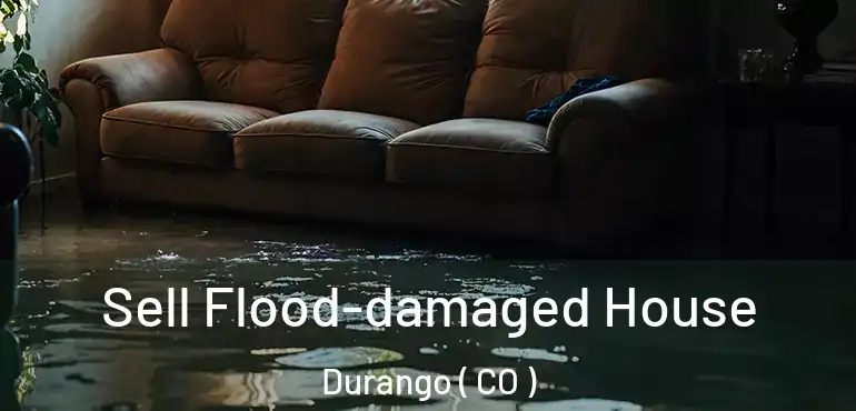  Sell Flood-damaged House Durango ( CO )