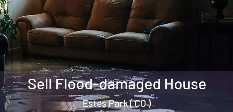  Sell Flood-damaged House Estes Park ( CO )