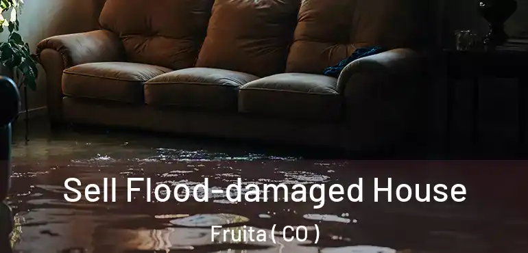  Sell Flood-damaged House Fruita ( CO )