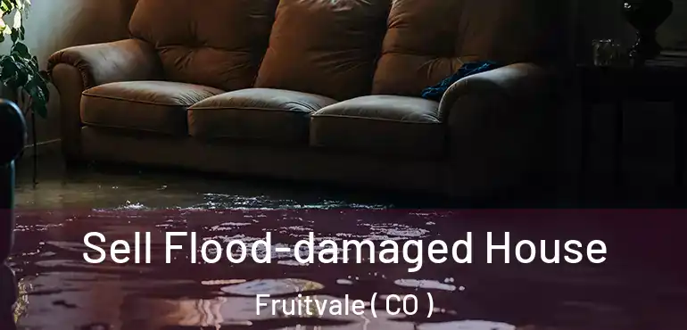  Sell Flood-damaged House Fruitvale ( CO )