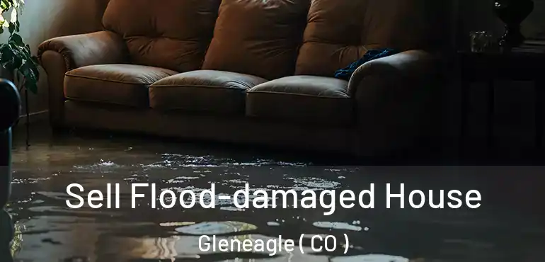 Sell Flood-damaged House Gleneagle ( CO )