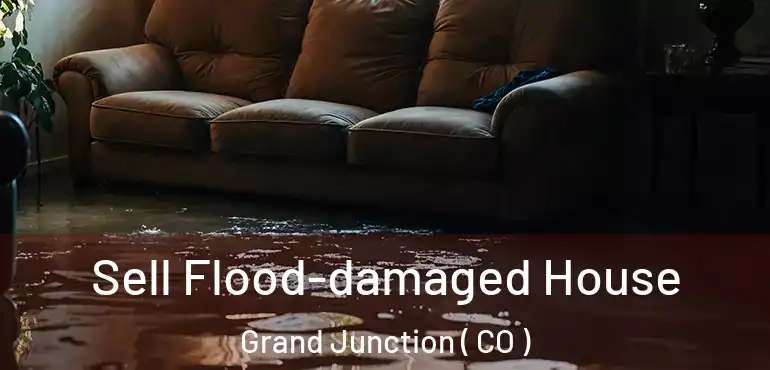  Sell Flood-damaged House Grand Junction ( CO )