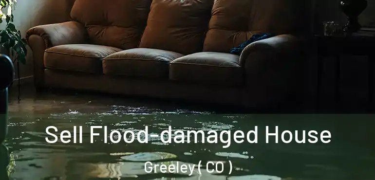  Sell Flood-damaged House Greeley ( CO )