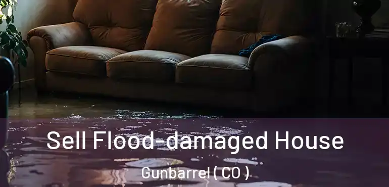  Sell Flood-damaged House Gunbarrel ( CO )