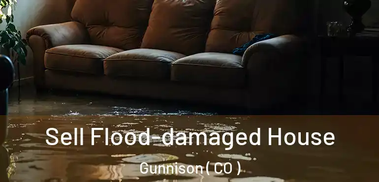  Sell Flood-damaged House Gunnison ( CO )