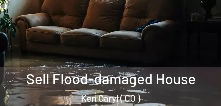  Sell Flood-damaged House Ken Caryl ( CO )