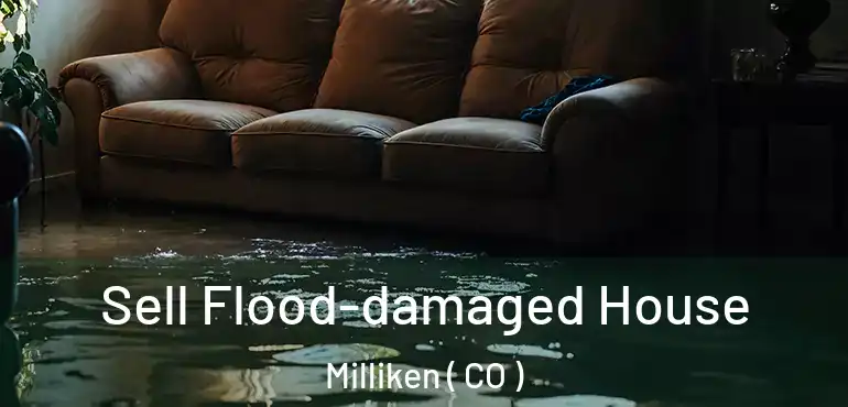  Sell Flood-damaged House Milliken ( CO )