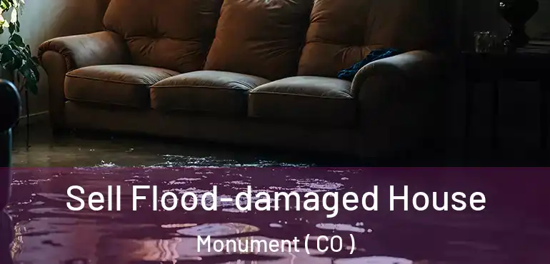  Sell Flood-damaged House Monument ( CO )