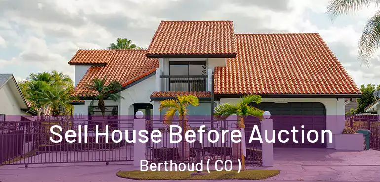  Sell House Before Auction Berthoud ( CO )