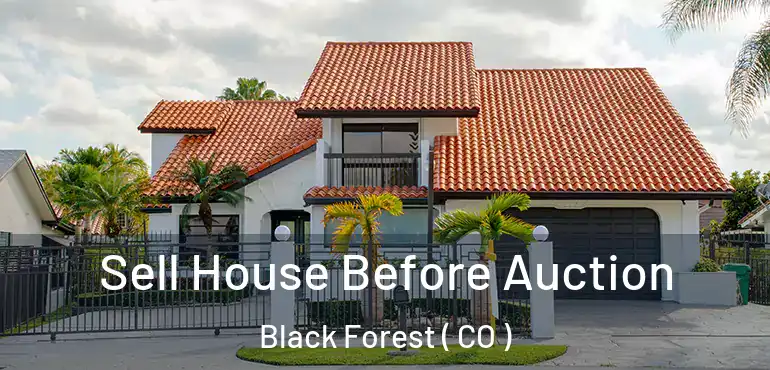  Sell House Before Auction Black Forest ( CO )