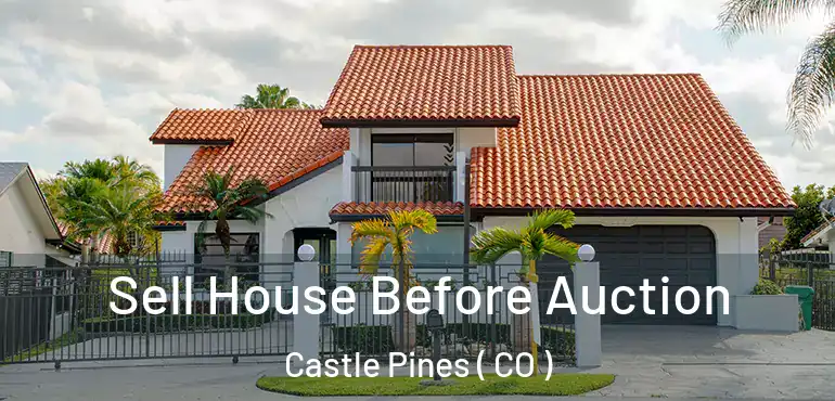  Sell House Before Auction Castle Pines ( CO )