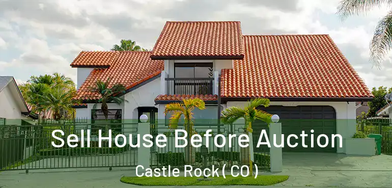  Sell House Before Auction Castle Rock ( CO )