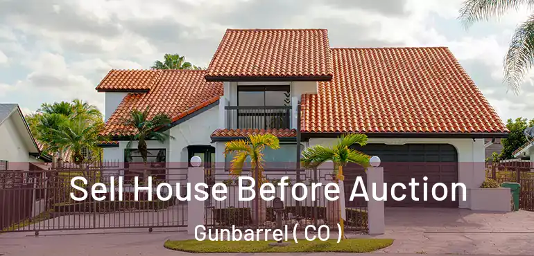  Sell House Before Auction Gunbarrel ( CO )