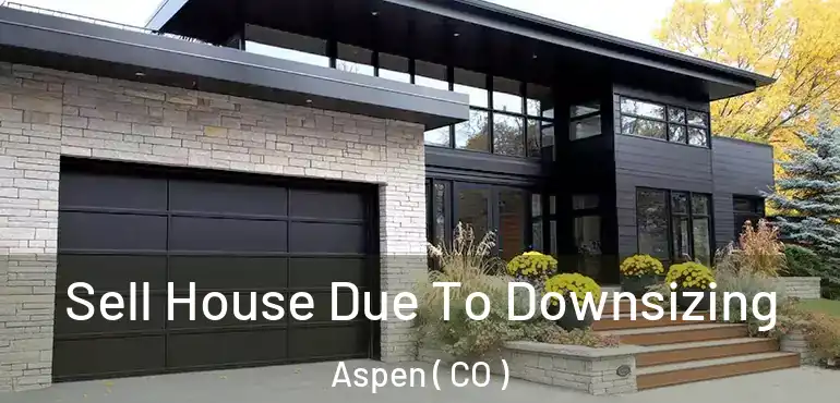  Sell House Due To Downsizing Aspen ( CO )