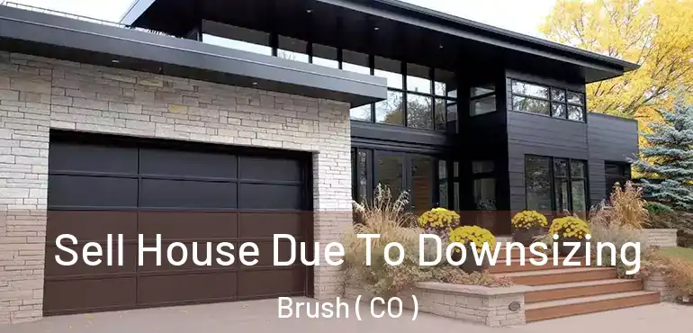  Sell House Due To Downsizing Brush ( CO )