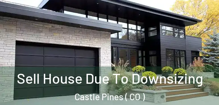  Sell House Due To Downsizing Castle Pines ( CO )