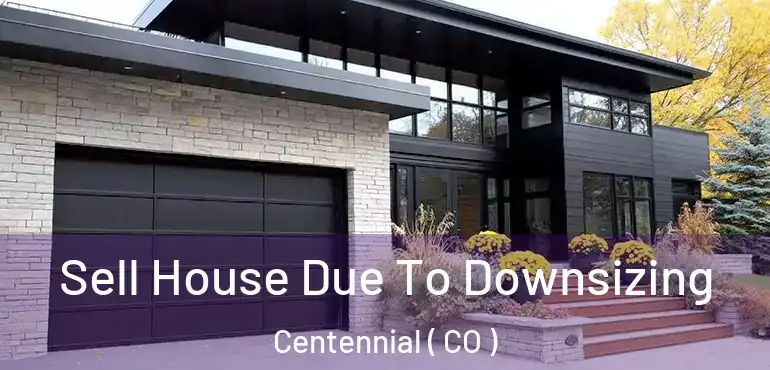  Sell House Due To Downsizing Centennial ( CO )