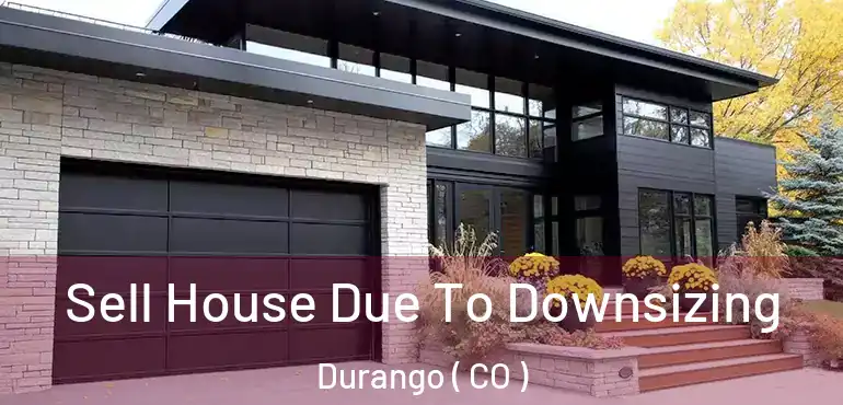  Sell House Due To Downsizing Durango ( CO )