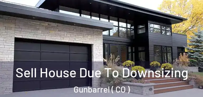  Sell House Due To Downsizing Gunbarrel ( CO )