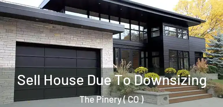 Sell House Due To Downsizing The Pinery ( CO )