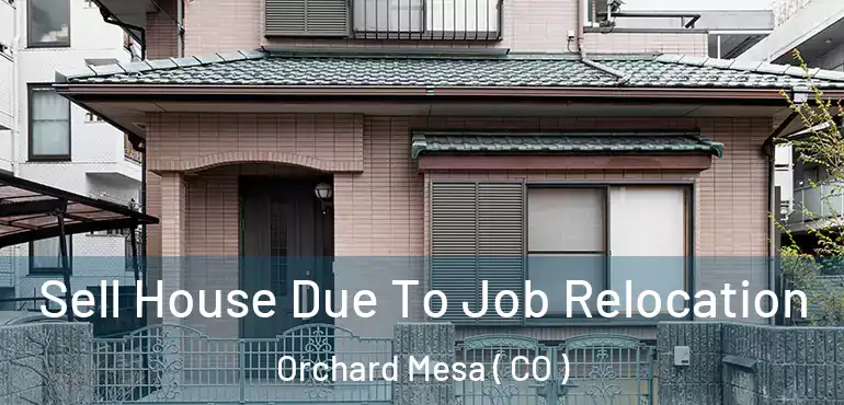  Sell House Due To Job Relocation Orchard Mesa ( CO )