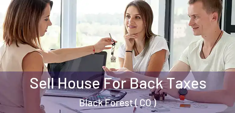  Sell House For Back Taxes Black Forest ( CO )