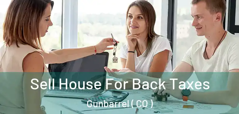  Sell House For Back Taxes Gunbarrel ( CO )