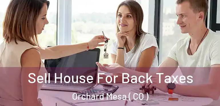  Sell House For Back Taxes Orchard Mesa ( CO )